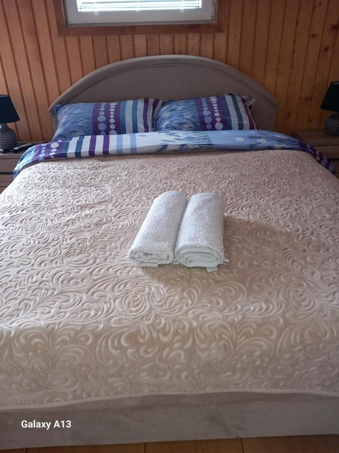 זבליאק Apartman Andrija מראה חיצוני תמונה