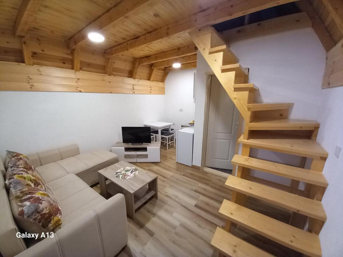 זבליאק Apartman Andrija מראה חיצוני תמונה